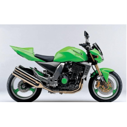 AUTOCOLLANT KAWASAKI Z1000 YEAR 2003 GREEN