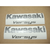 STICKERS KAWASAKI VERSYS 650 YEAR 2018 BLUE