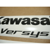 STICKERS KAWASAKI VERSYS 650 YEAR 2008 GREEN