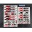 Stickers decals HONDA XADV 750 ADVENTURE (Compatible Product)
