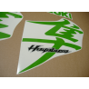 Aufkleber SUZUKI HAYABUSA 2008-2015