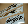 STICKER SET KAWASAKI ZX-6RR AÑO 2003 VERDE