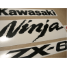 STICKER SET KAWASAKI ZX-6RR AÑO 2006 VERDE