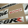 STICKER SET KAWASAKI ZX-6RR AÑO 2006 VERDE