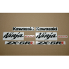 STICKER SET KAWASAKI ZX-6RR AÑO 2006 VERDE