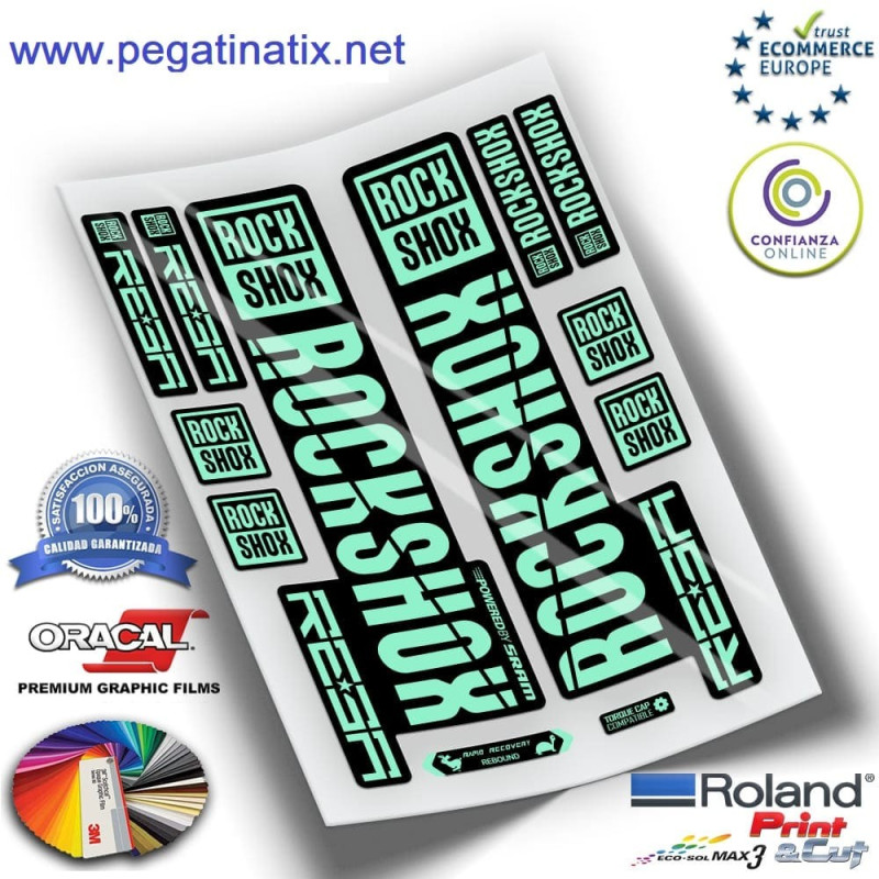 STICKERS HORQUILLA ROCKSHOX REBA 2019 WP271
