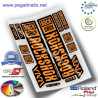 STICKERS ROCKSHOX YARI 2019 WP269