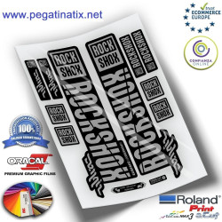 ADESIVI ROCKSHOX BOXXER 2019 WP263