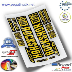 ADESIVI ROCKSHOX DOMAIN 2019 WP272