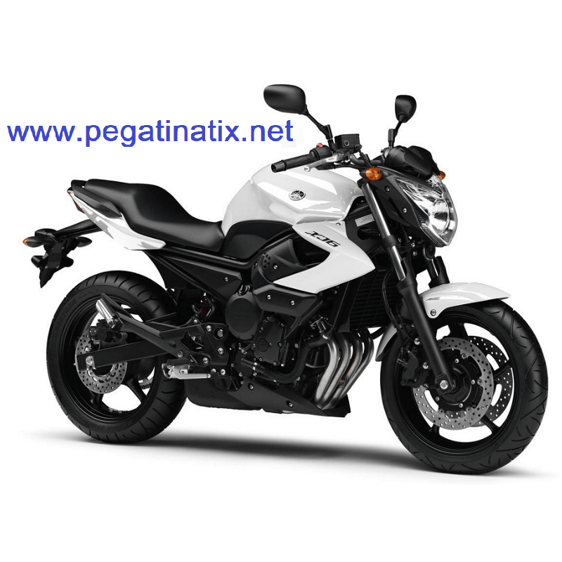 Adhesivo sticker YAMAHA XJ6 2011WHITE