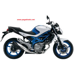 Adesivi Suzuki GLADIUS  WHITE/BLUE 2012 SV650