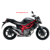 Aufkleber Suzuki GLADIUS TITANIUM GREY 2012 SV650