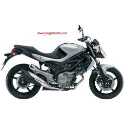 Stickers Suzuki GLADIUS SILVER 2013 SV650