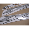 STICKERS KIT KAWASAKI ZX-12R YEAR 2006 BLACK