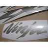 DECALS KIT KAWASAKI ZX-12R  YEAR 2005 SILVER