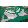 ADHESIVOS Aprilia RS50-125 YEAR 2005