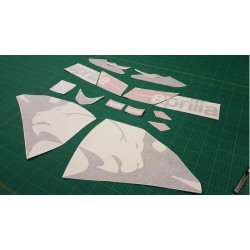 Stickers Aprilia RS50 YEAR 2007