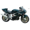 AUFKLEBER Suzuki TL 1000S YEAR 1998 GREEN
