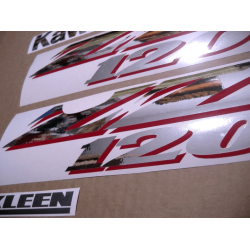 ADESIVOS KAWASAKI ZZR1200 YEAR 2002