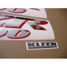 STICKERS KIT KAWASAKI ZZR1200 YEAR 2002