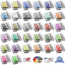 ADHESIVO ROCKSHOX LYRIK 2020 WP283