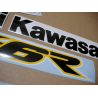 ADHESIVOS KAWASAKI ZX-6R AÑO 2002 AMARILLO