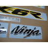 ADHESIVOS KAWASAKI ZX-6R AÑO 2002 AMARILLO
