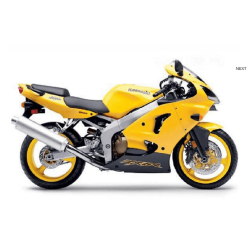 AUFKLEBER KAWASAKI ZX-6R YEAR 2002 YELLOW