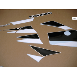 DECALS KAWASAKI ZX-6R YEAR 2001 GREEN