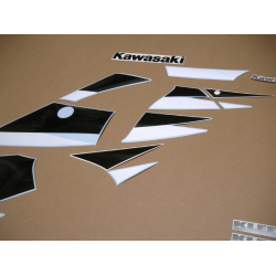 DECALS KAWASAKI ZX-6R YEAR 2001 YELLOW