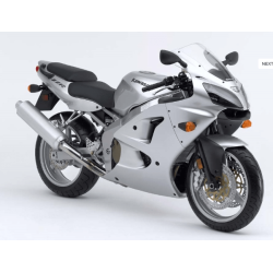 AUFKLEBER KAWASAKI ZZR-600 YEAR 2006 SILVER