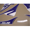 Adesivi HAYABUSA CUSTOM PURPLE  YEAR 2010-2011
