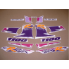 AUTOCOLLANT Suzuki GSX-R 1100 YEAR 1994 - VIOLET/PURPLE