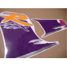 AUTOCOLLANT Suzuki GSX-R 1100 YEAR 1994 - VIOLET/PURPLE