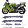 Kawasaki ZX-12R YEAR 2002-2005 ADESIVI