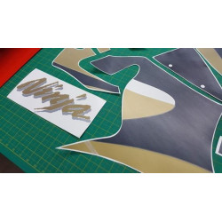 Kawasaki ZX-6R NINJA YEAR 1999 ADHESIVOS