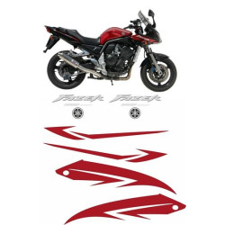 Yamaha Fazer FZS 1000 YEAR 2005 ADESIVOS