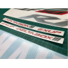 YAMAHA YZF R1 YEAR 2002 ADESIVI