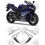 YAMAHA YZF R1 YEAR 2007 DECALS (Compatible Product)