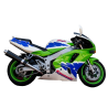 Kawasaki ZX-7R YEAR 1994 DECALS