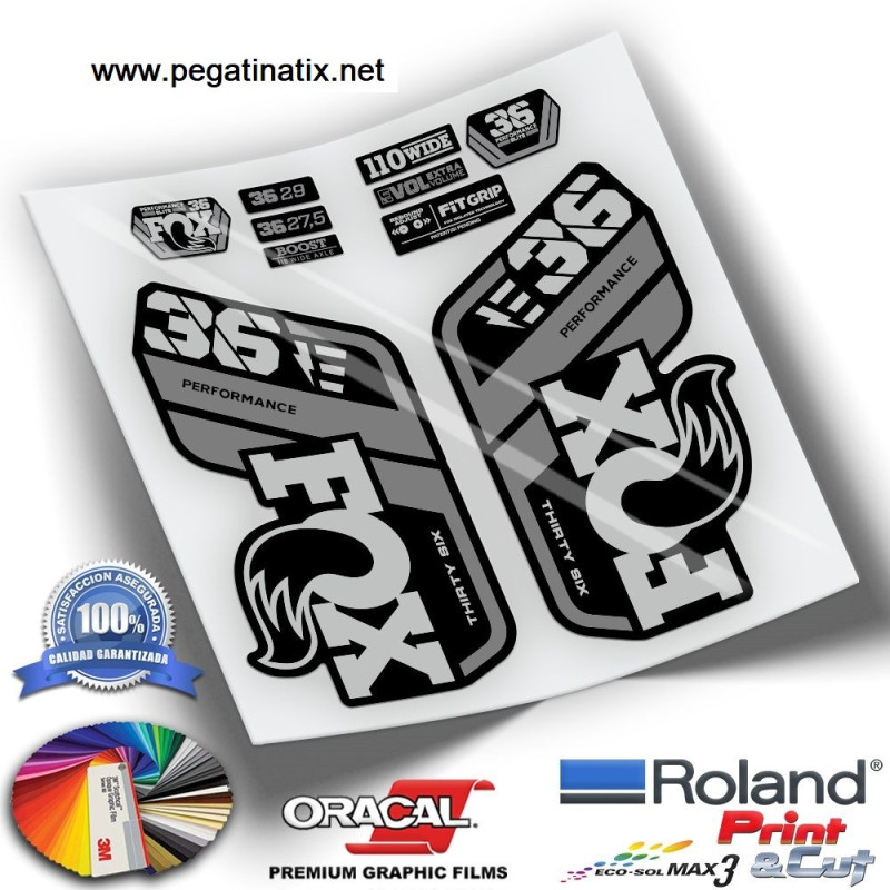 DECALS FOX 36 PERFORMANCE EBIKE 2021 WP328