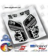 DECALS FOX 34 PERFORMANCE STEP CAST 2021 WP325