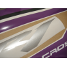 YAMAHA YZF-R1 YEAR 2009-2014 PURPLE DECALS