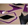 ADHESIVOS YAMAHA YZF-750R YEAR 1993 GRAY/BLACK/PURPLE