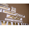 YAMAHA YZF-R6 YEAR 2009-2009 MATTE GOLD