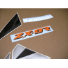 Kawasaki ZX-9R YEAR 1995 SILVER/GREEN/BLACK ADESIVI