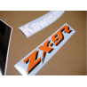 Kawasaki ZX-9R YEAR 1995 SILVER/GREEN/BLACK ADESIVI