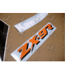 Kawasaki ZX-9R YEAR 1995 SILVER/GREEN/BLACK