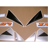 Kawasaki ZX-9R YEAR 1995 SILVER/GREEN/BLACK ADESIVI