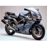 Kawasaki ZX-9R YEAR 1995 SILVER/GREEN/BLACK ADESIVOS